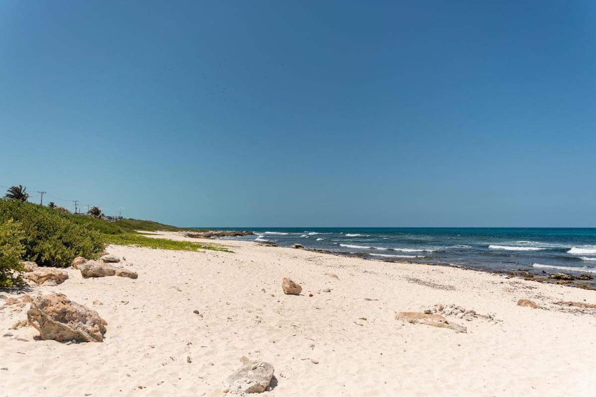 Villa With Ocean View, Pool, Restaurant And Rooftop Isla Mujeres Luaran gambar